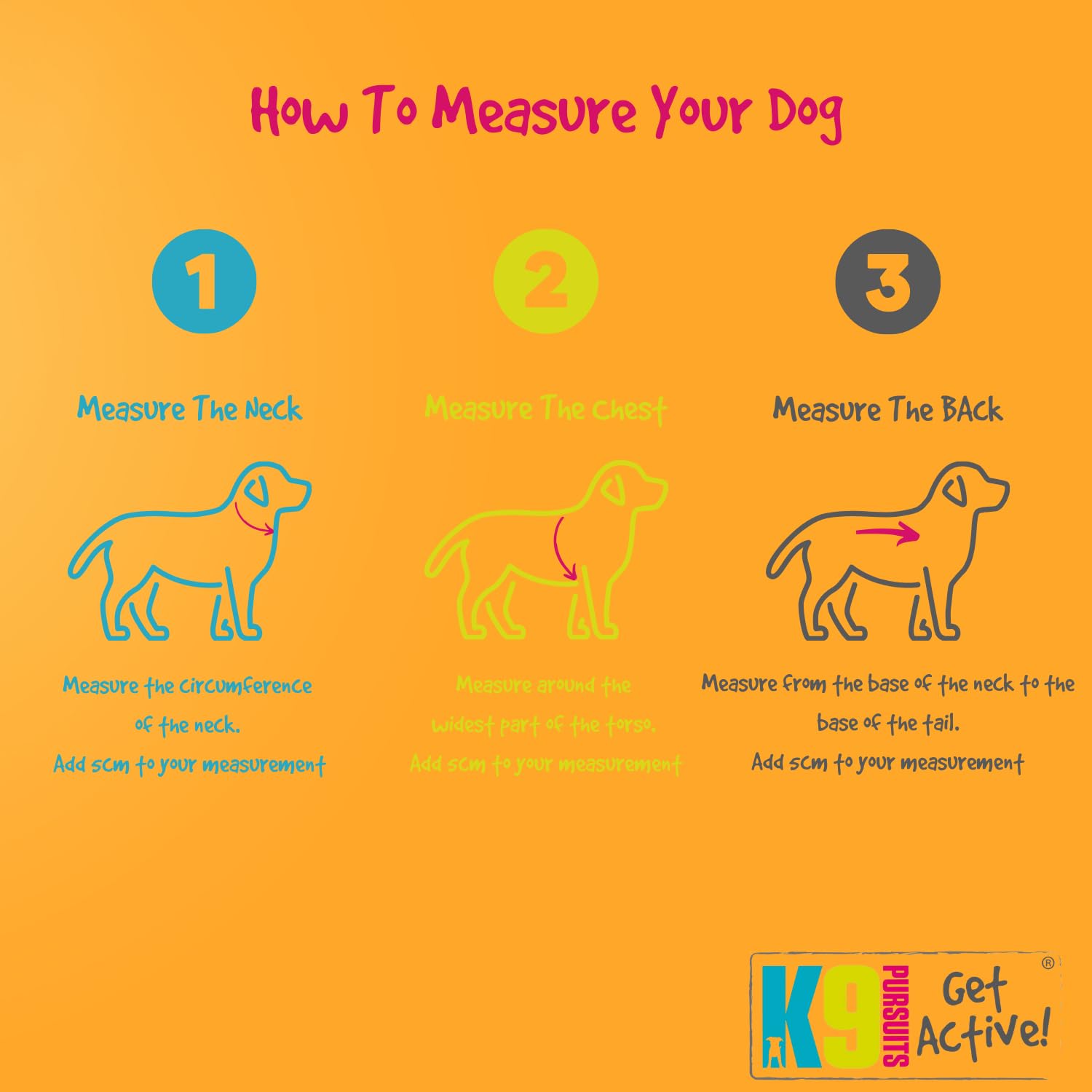 Instructions on how to measure a dog with illustrations and text on an orange background.