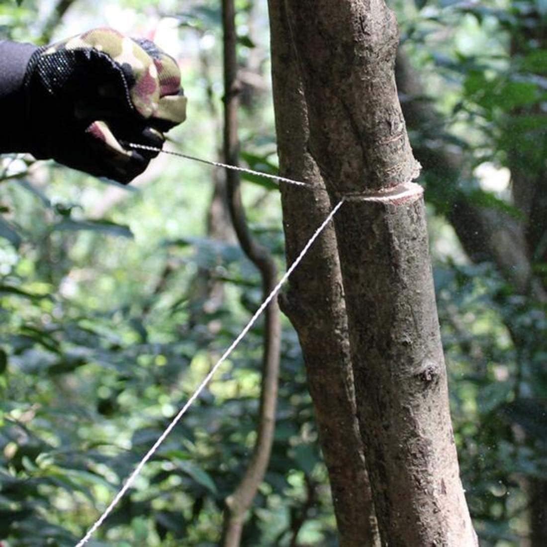 Person using a tool to cut a tree branch in a forest setting