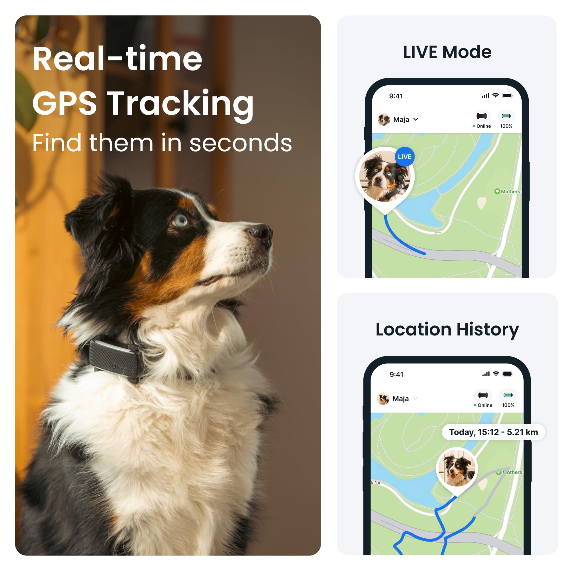 Dog wearing a GPS tracker with app interface showing real-time tracking and location history.