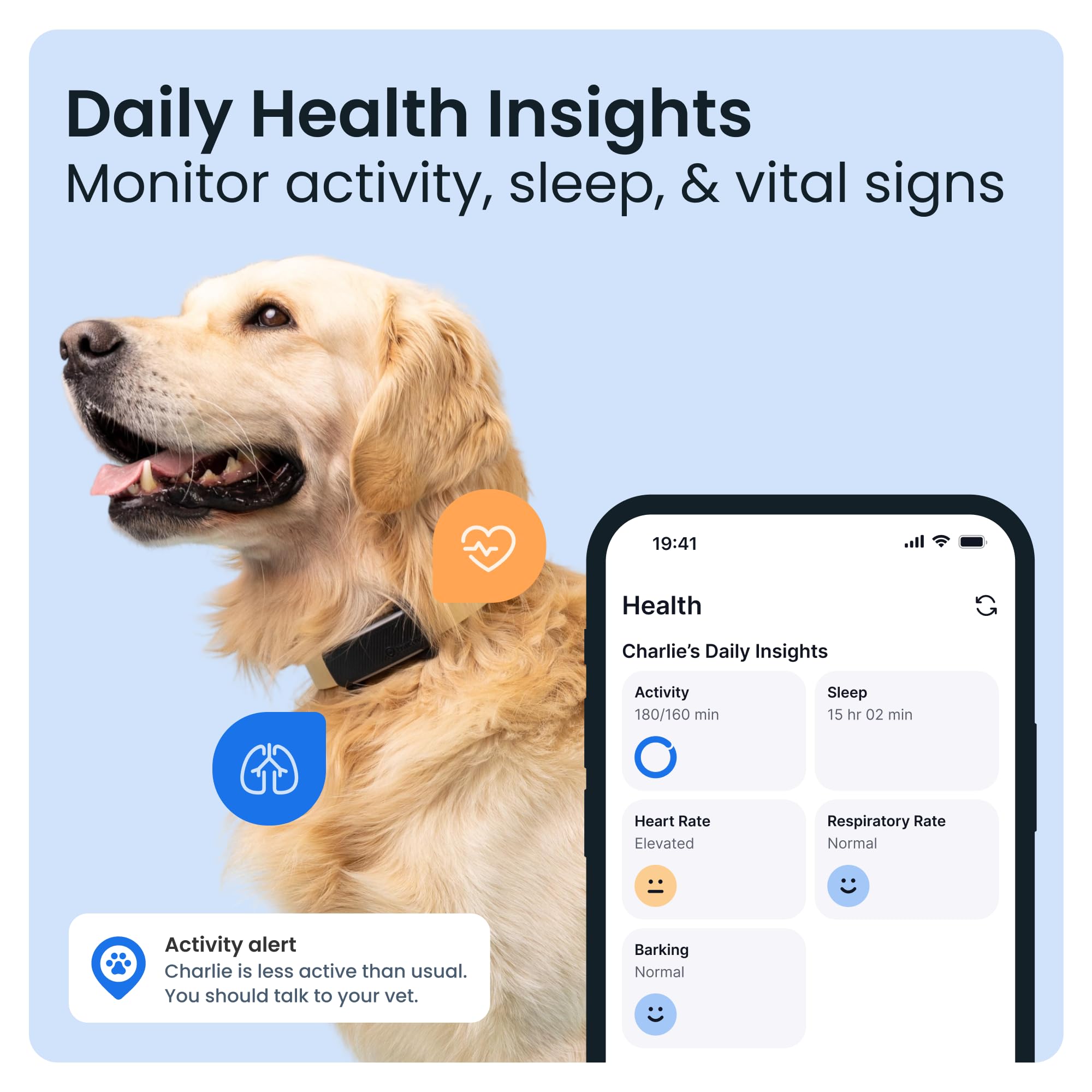 Dog wearing a collar with health monitoring device, smartphone displaying health insights app on blue background