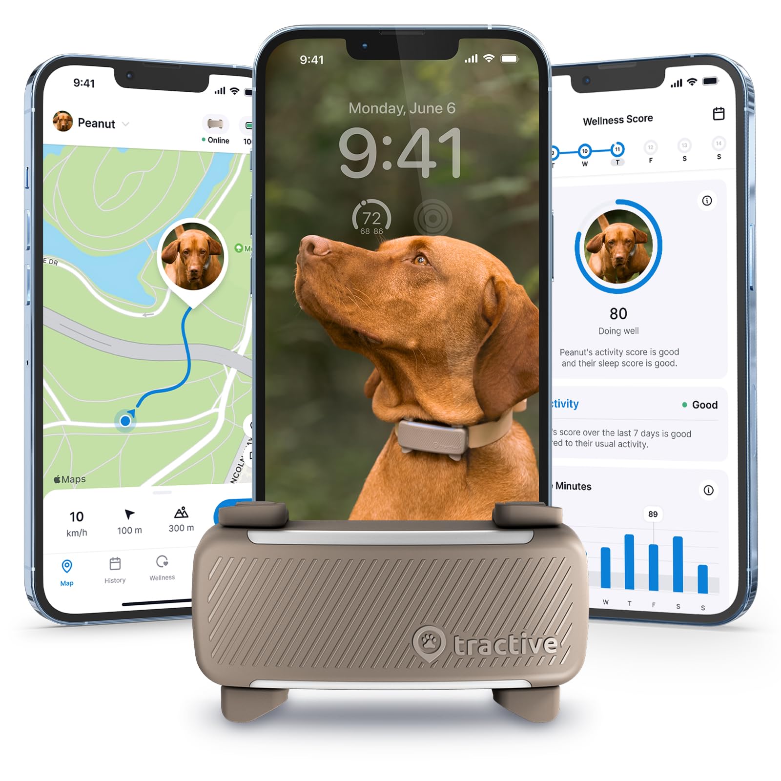 Dog tracking device with smartphone app interface showing a dog and its activity on a white background