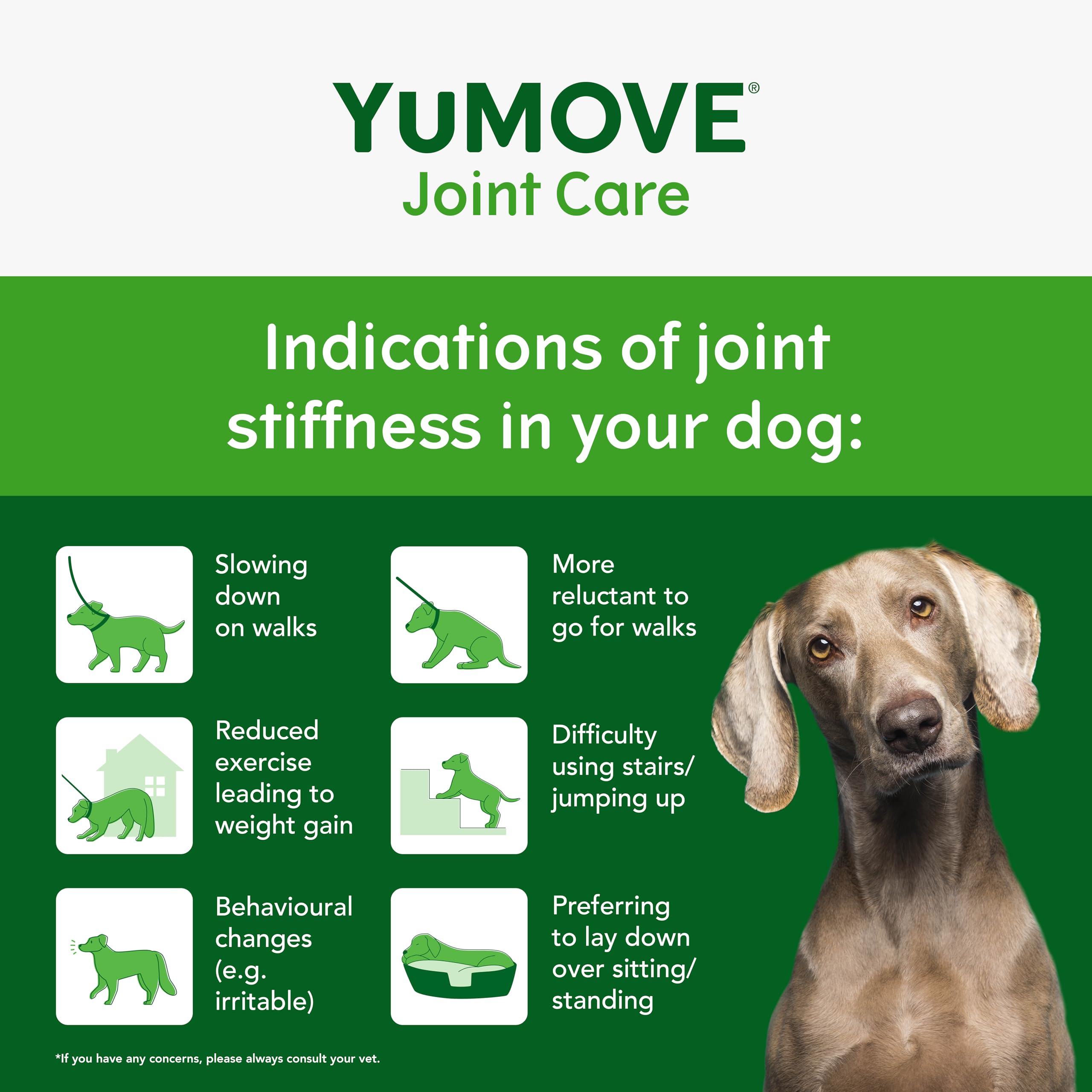 YuMOVE Joint Care advertisement with a dog and joint stiffness indicators on a green background
