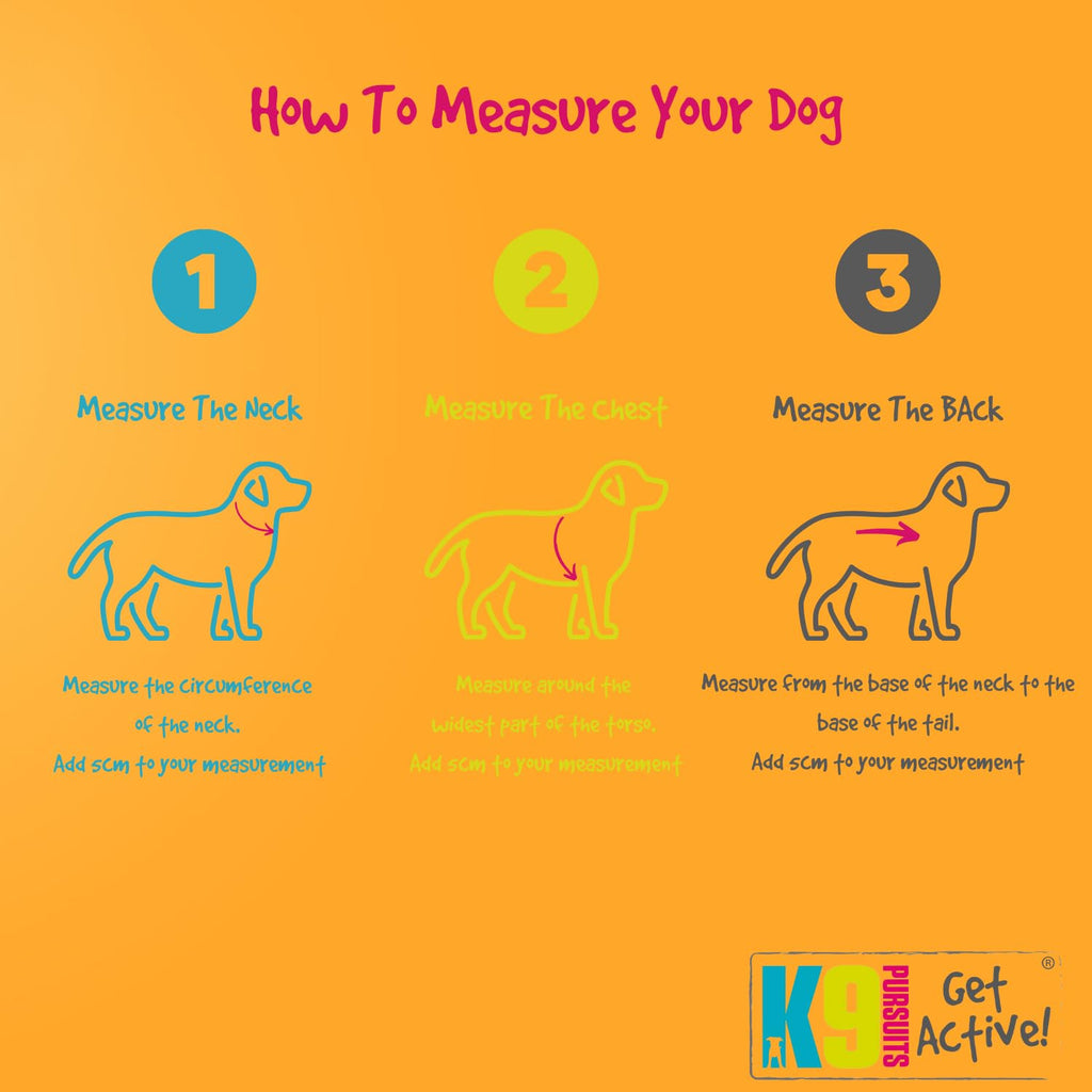 Instructions on how to measure a dog with illustrations and text on an orange background.