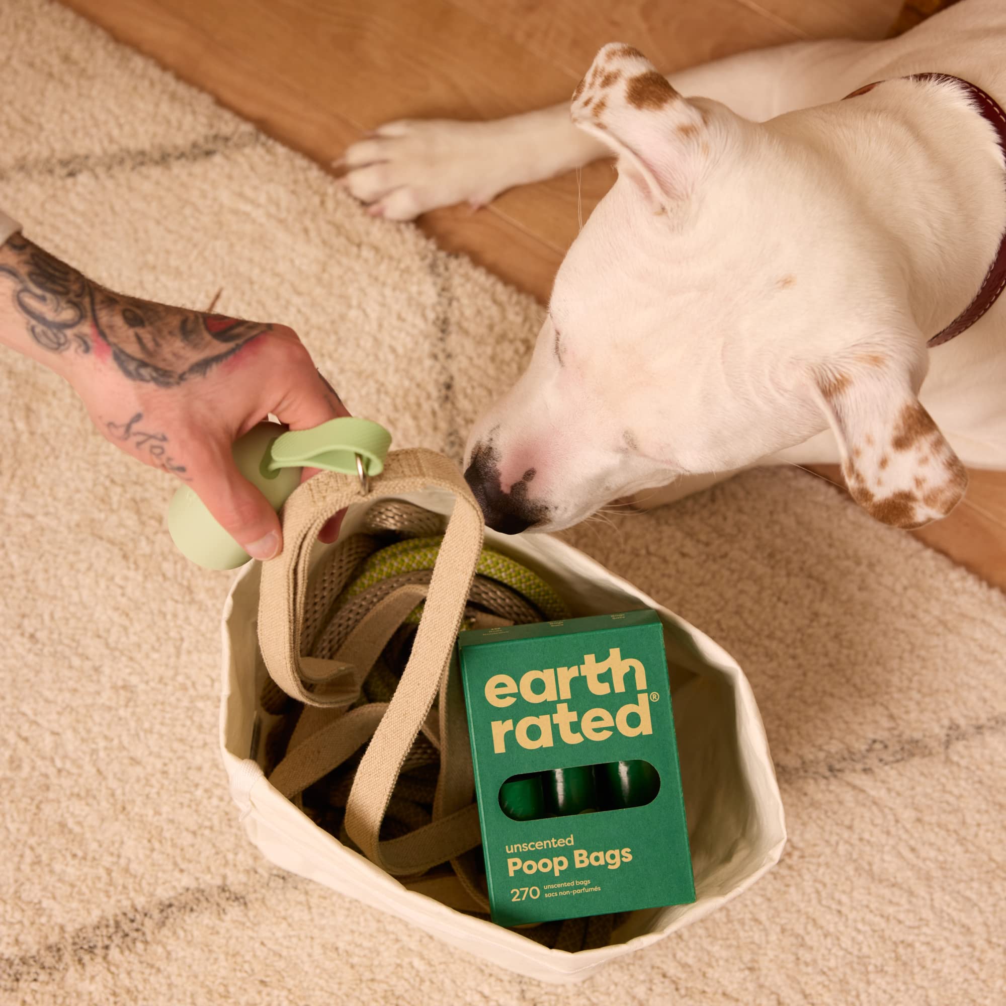 Dog playing with a toy next to a bag of Earth Rated poop bags on a carpeted floor.