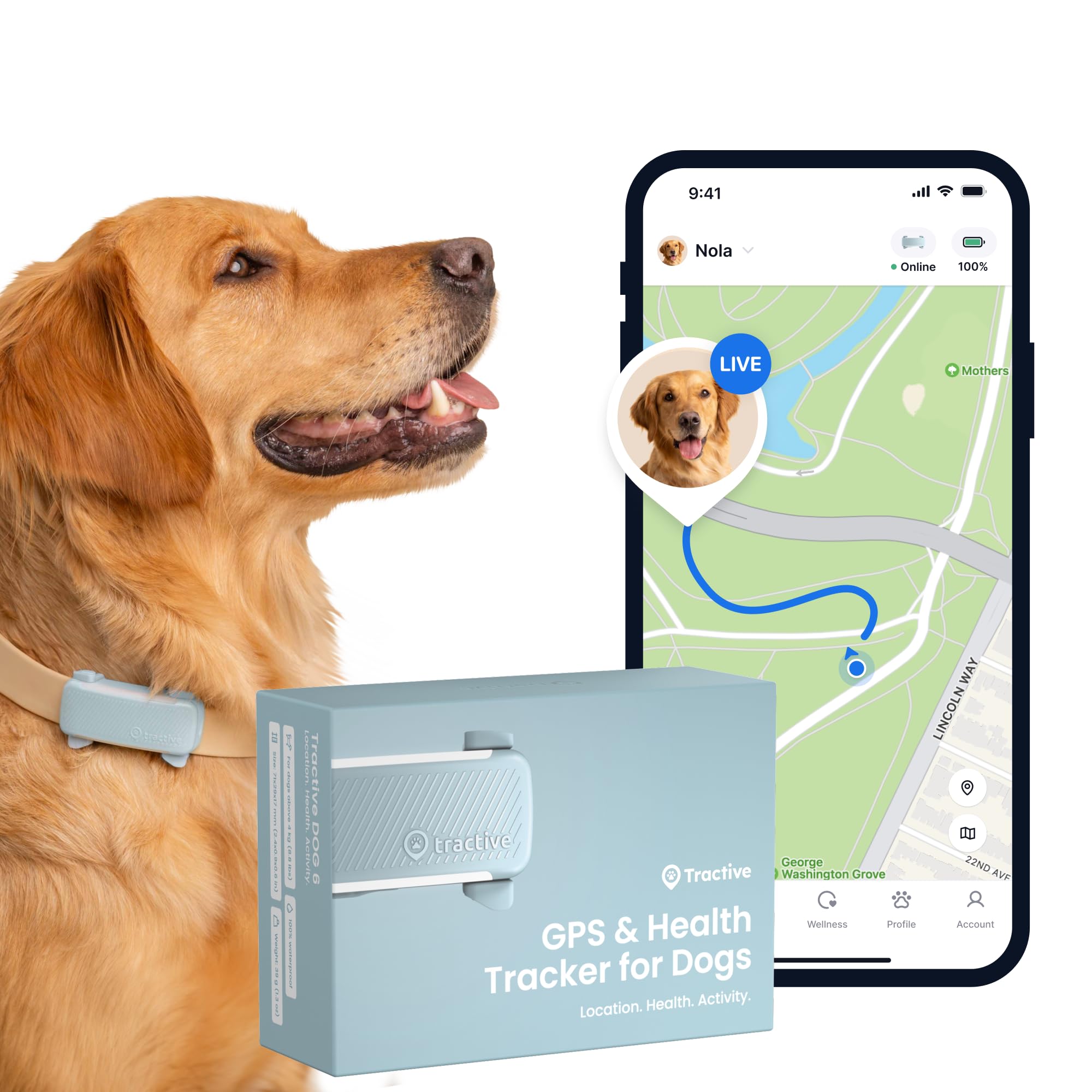 Dog wearing a GPS & Health Tracker with a phone app showing location on a map.