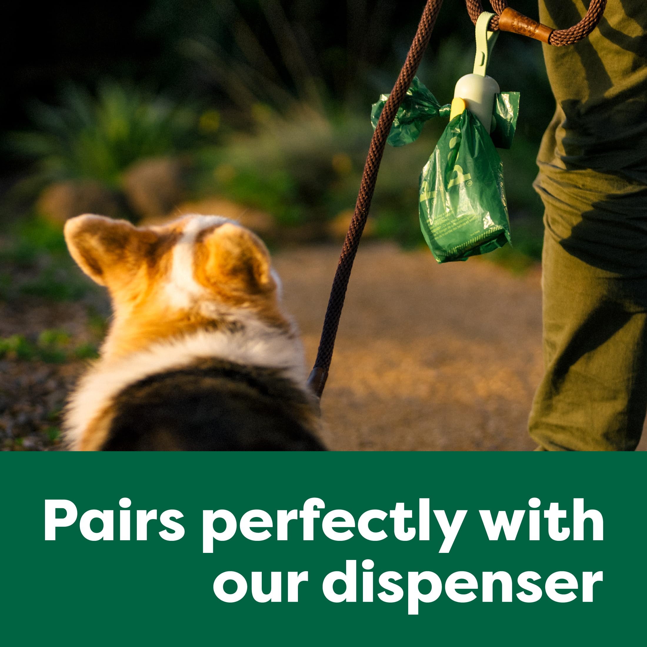 Dog looking at a green dispenser with text 'Pairs perfectly with our dispenser' on a green background